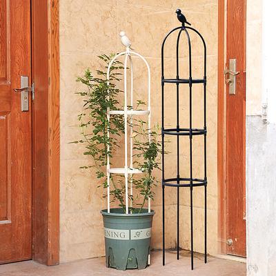 1 Set Grigliato per Piante Rampicanti Gabbie di Supporto da Giardino Per Fiori Piante Struttura di Supporto Grigliato Rampicante Fai da Te Rampicanti Floreali Supporto per Vasi