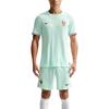 Aero-FIT Sezonul 2026/27 Franța Tricou de Joc Exterior Gât Rotund Pulover Respirabil Mânecă Scurtă Tricou de Fotbal Bărbați topuri IB5200-394