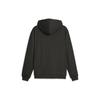 Puma Printed Hooded Casual Sweatshirt Men Sweatshirts Black 524674-01