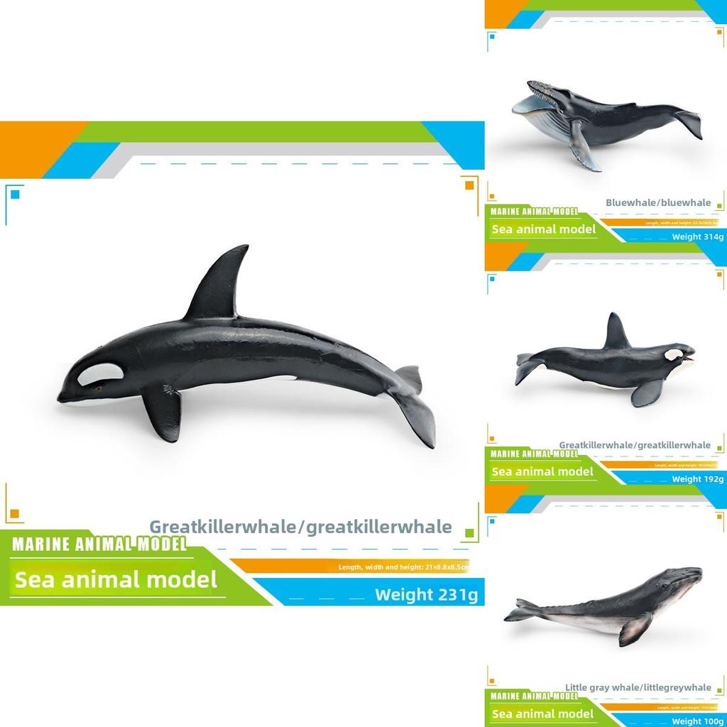 Kinder Meeresbewohner PVC Modellset mit realistischen Wal- und Delfinfiguren für pädagogisches Spiel