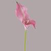 Pcs Artificial Calla Lily Flowers Real Touch Fake Calla Lily with Stem