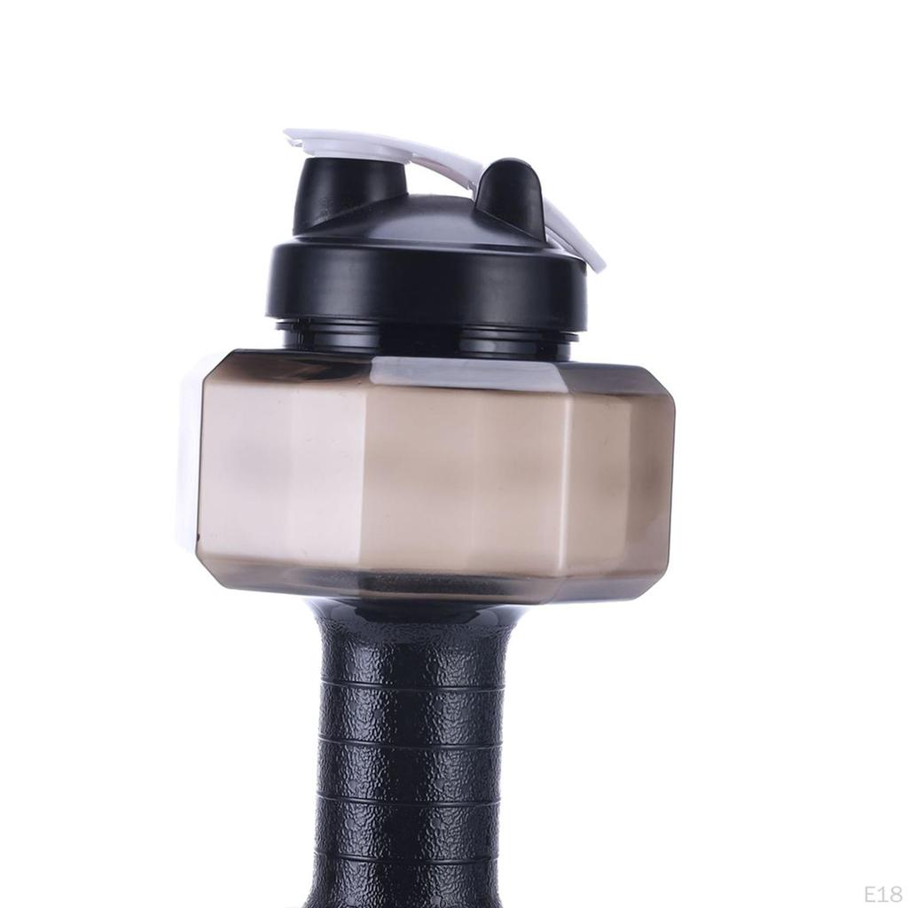 Companion for Fitness Enthusiasts