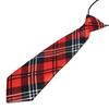 Children's Plaid and Striped Decorative Tie with Apple Print