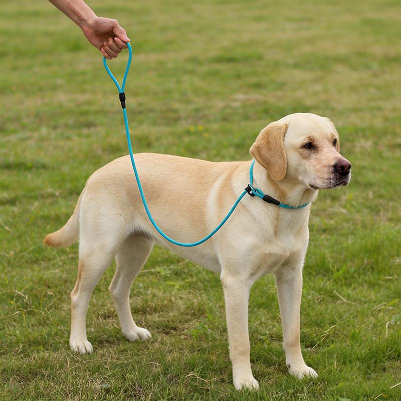 All In One Nylon P Chain Dog Training Collar Leash No Pull Anti Shock Quick Release Buckle Explosion Proof Walking Lead For Small Medium Large Pet