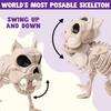 Joyfy 16 Inch Halloween Skeleton Dog Skeleton Pose-N-Stay Plastic Skeleton Bones for Hallowmas Decoration Haunted House Party