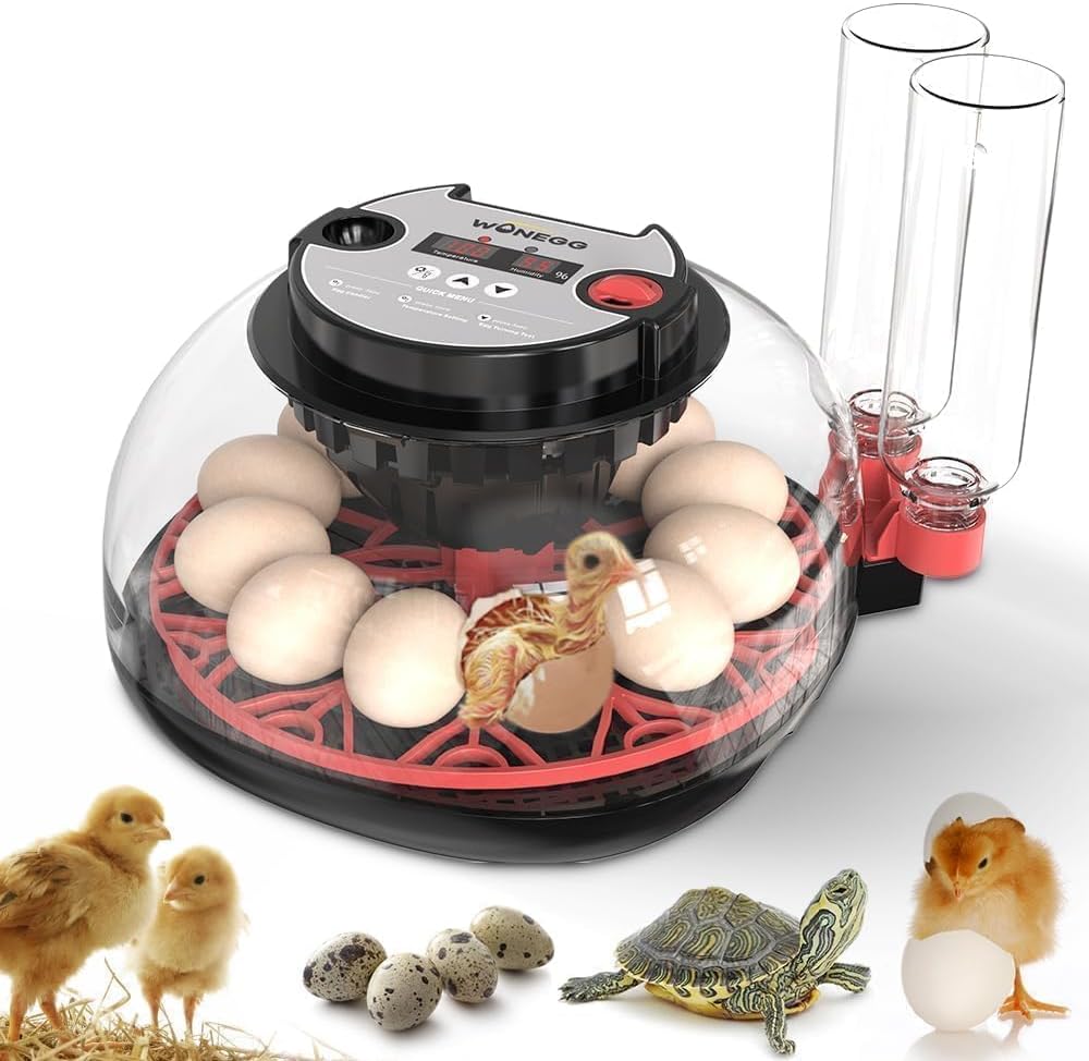 A 12-egg incubator for beginners, with multi-layer adaptive humidity (automatic liquid refill and dual-bottle design) and stable temperature control