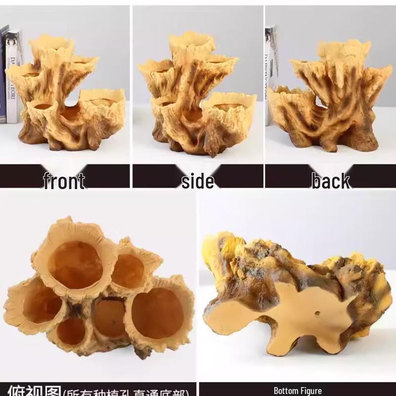 Maididuo Irregular Tree Root Design Succulent Pot with Base