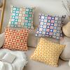 Checkered Flower Pattern Cushion Cover Soft Plush Throw Pillow Cover  DoubleSided Cushion Case  Sofa Bedroom Home Decor