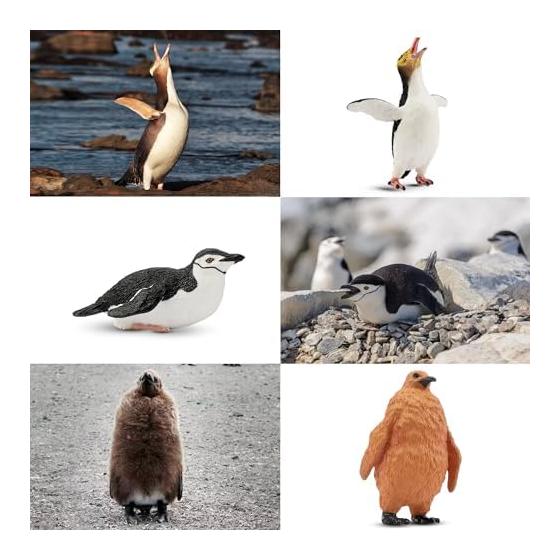 TOYMANY 12PCS Penguin Figure Antarctic Animal Figure Set Antarctic Circle Realistic Animal Model Popular Animal Toy Birthday Gift Decoration