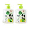 Dettol Disney Limited Edition Antibacterial Hand Wash