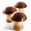 Pilz-Silikon-Mousse-Kuchenform, Pilzform, Kuchenform, Kuchendekoration