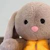 Bebek Nefes Alan Tavşan Peluş Oyuncak Sakinleştirici Müzikli Hafif Müzikli Tavşan Peluş Doldurulmuş Hayvan Sakinleştirici Bebek Emzik Yenidoğan Bebek Erkek Kız Hediye