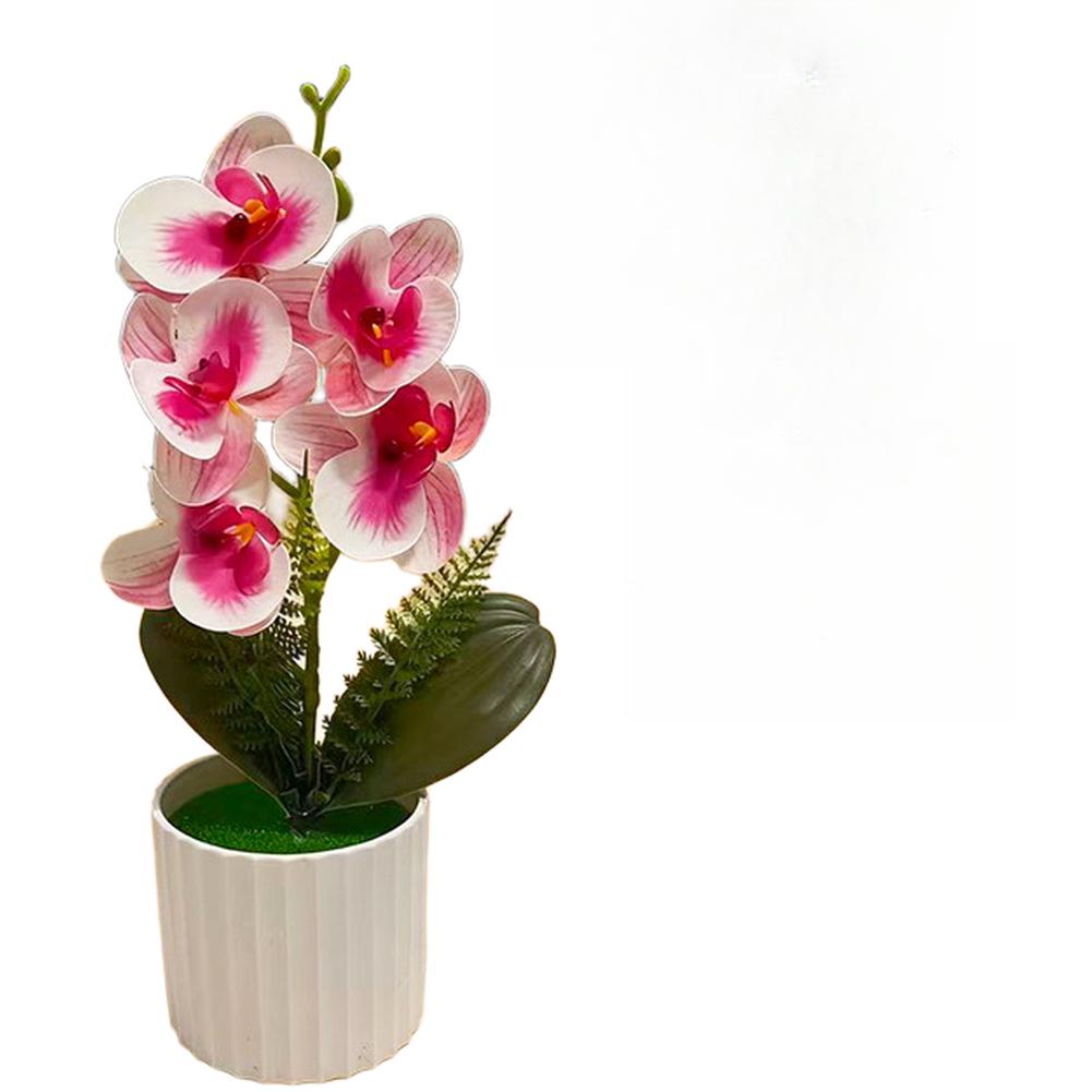 5 Potted Artificial Phalaenopsis Orchids for Decorative Application Residential Commercial and Creative Production Spaces