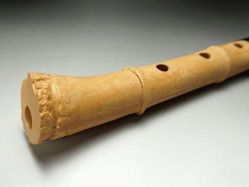 Japanese Flute Shakuhachi YUU 1.8 Key D Beginner Set W Case Japan