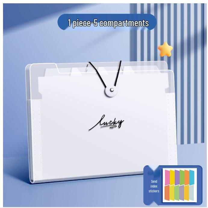 A4 Multi-Layer Accordion File Bag for Students - Transparent Test Paper Organizer for Junior & High School. 5 compartments