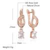 Shiny Natural Zircon Flower Long Drop Earrings For Women Fashion  Rose Gold Color Ethnic Bridal Wedding Jewelry