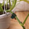 100pcs Garden Plant Clips Plastic Support Orchid Stem Clip for Vine Vegetables Flower Tied Bundle Branch Clamping Garden Tool