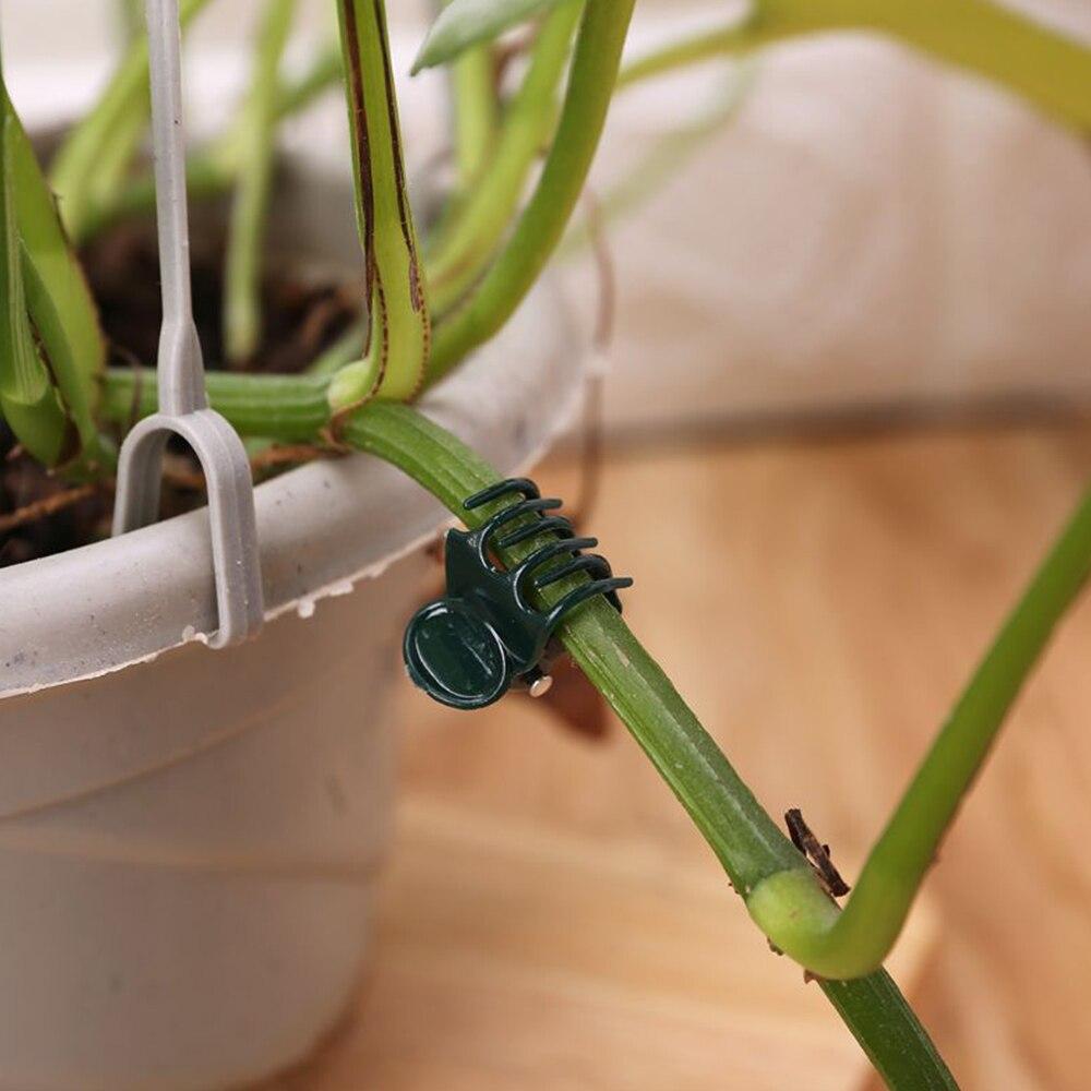 100pcs Garden Plant Clips Plastic Support Orchid Stem Clip for Vine Vegetables Flower Tied Bundle Branch Clamping Garden Tool