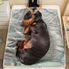 Ultra-Soft Dachshund Flannel Throw - Lightweight Plush for Bed, Sofa - All Seasons, Multiple Sizes
