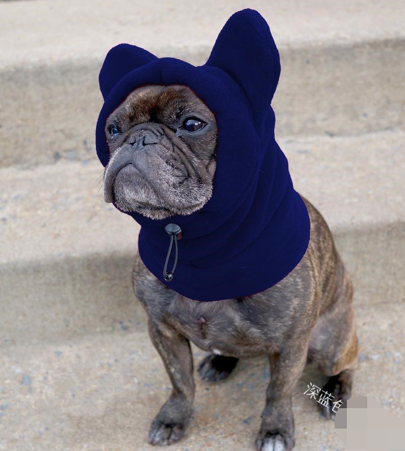 Dog Casual Warm Color Pet Cute Hat