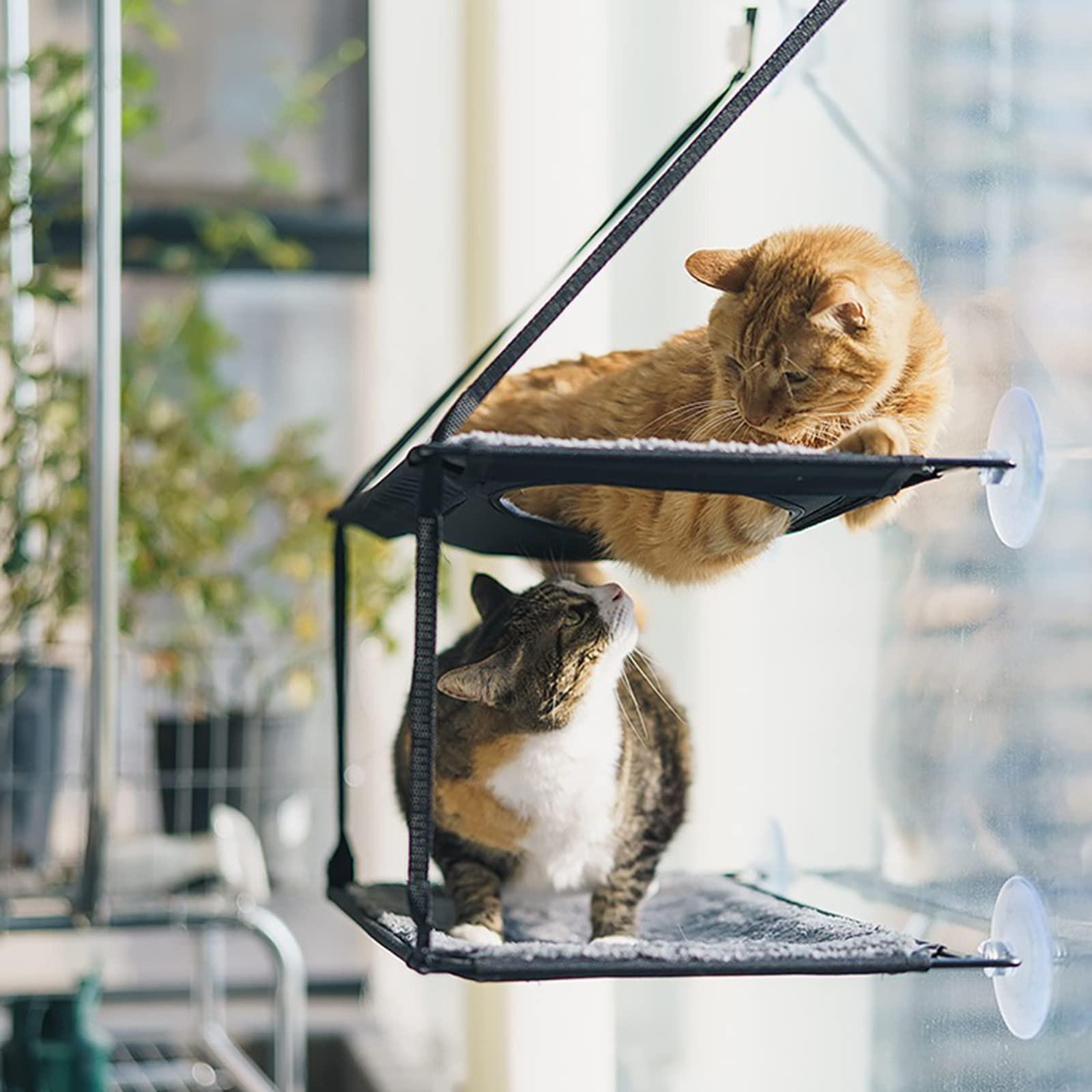 

Кошки Гамак Кровать Кошка Кровать Висячее окно Двухслойное домашнее животное Гамак Солнечное окно Сиденье Кошка Спящий Гамак Кошка Кровать Аксессуары