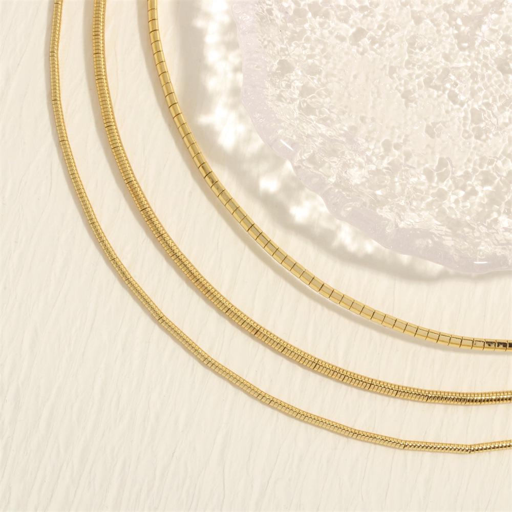 18K Copper-Plated Gold Snake Bone Necklace - Women's Hip Hop Style Metal Flat Chain Collarbone Necklace