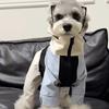 Handsome Dog Clothing - Warm and Protective Parka for Autumn and Winter, Pet Coat for Pets, Trendy Brand, Teddy Bear, Beagle, Schnauzer, Clothes