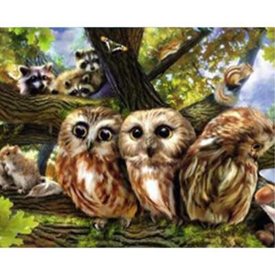 Búho de Café Pintura de Diamantes Búho Mosaico de Diamantes Pintura con Diamantes Taladro Completo Animales