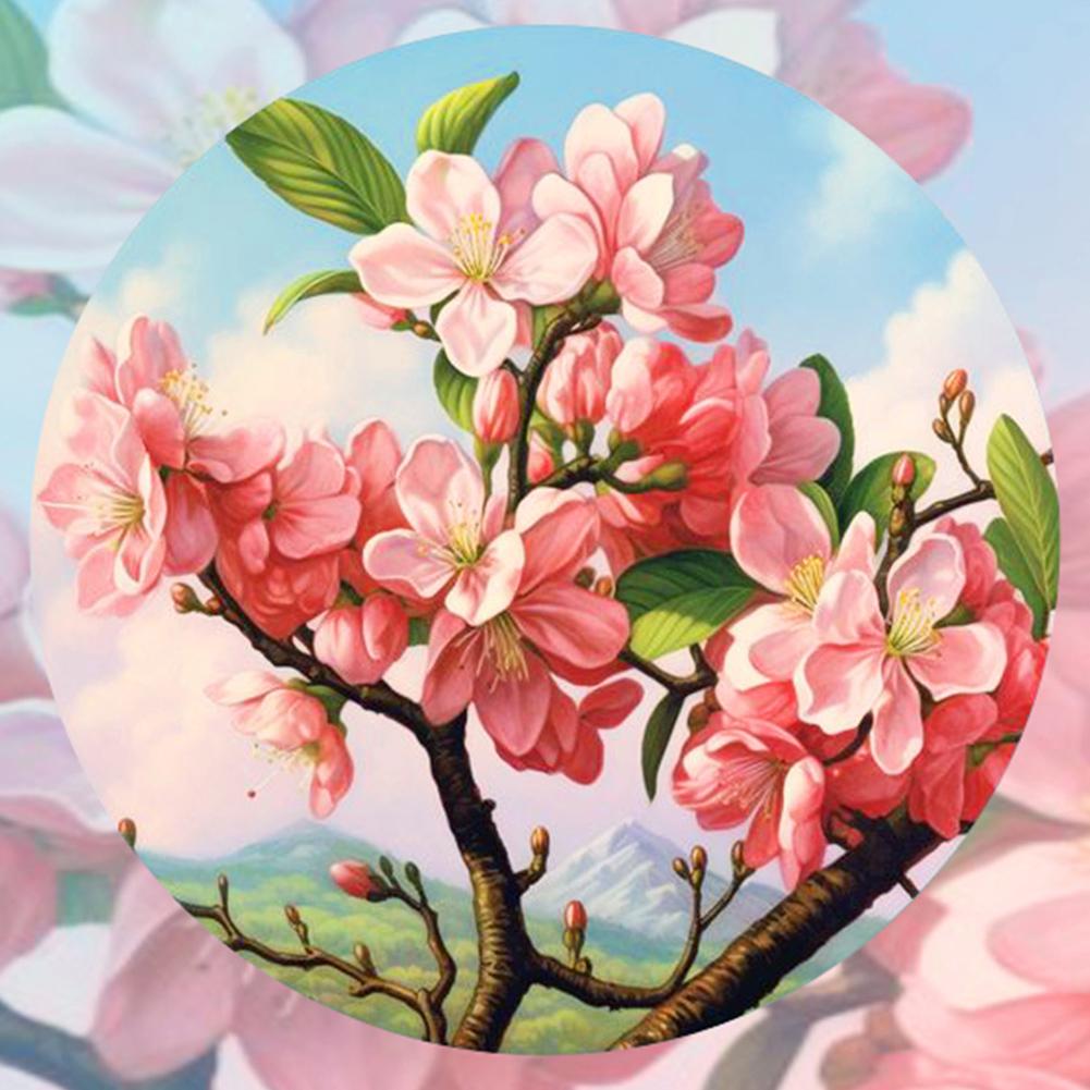 

6pcs 5D DIY Full Round Drill Diamond Painting Flowers Kit Home Decor 30x30cm China Mainland