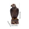 Sturdy Eagle Repellents Statue Lifelike Birds Decoy Hawk Creative Hawk Ornament  Outdoor Courtyard