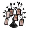 Family Tree Picture Frame Multipurpose Innovative Stylish Family Tree with 6 Hanging Photo Frames