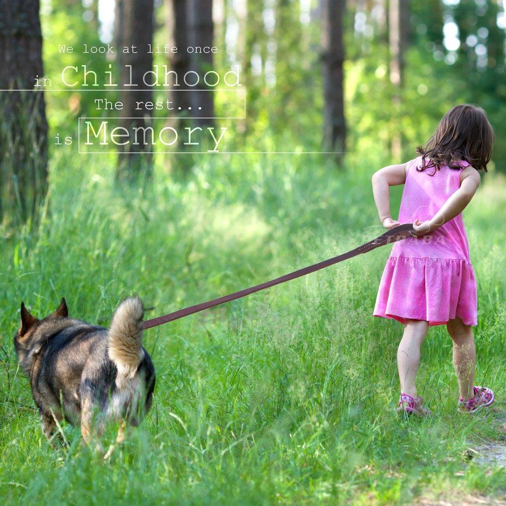 PETBABA Dog Lead Leather Lead Bull Leather Medium Large Dog Lead Genuine Leather Lead Durable Easy to Use Pet Supplies 1.8m Walking/Training/Training