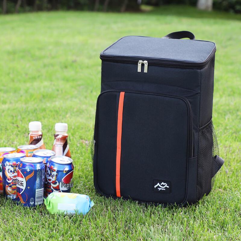 Insulated Picnic Backpack