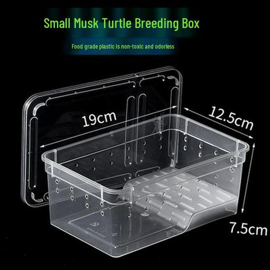 Reptile Habitat Tank for Silkworms, Spiders, Frogs, Snakes, Lizards, Snails, Insects, and Turtles