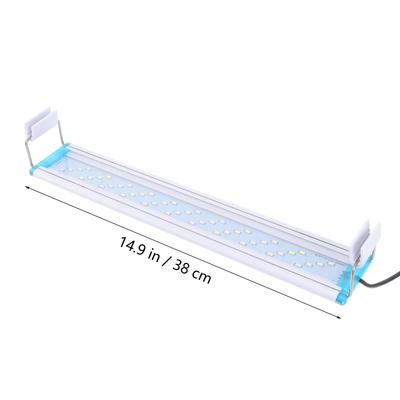 Pești și animale marine – Iluminare acvariu