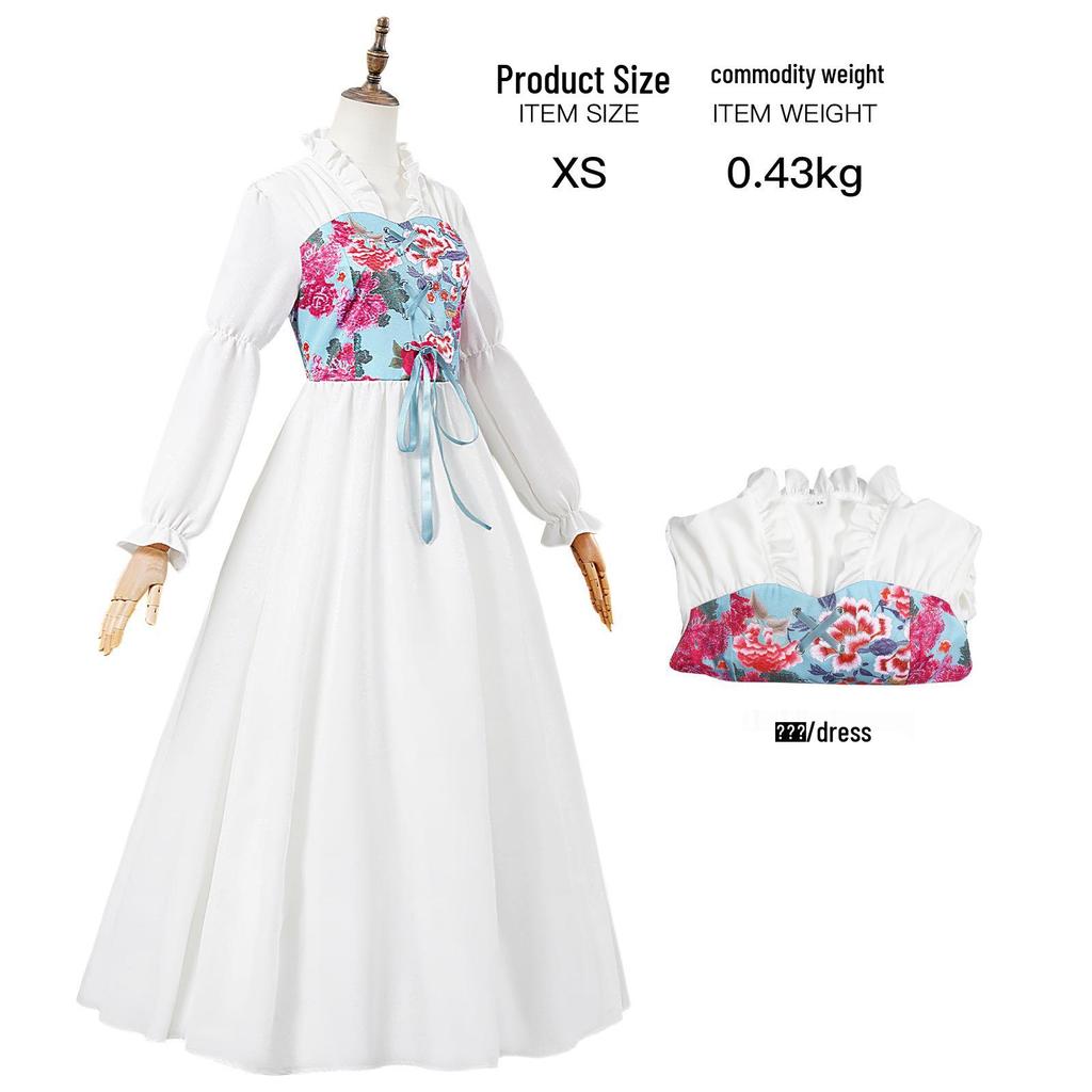 Women's Renaissance Medieval Pirate Fairy Witch Victorian Dress Costume