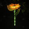 Nu Feng Triple-Head Solar Outdoor Garden Light