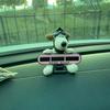 Bow-Knot Puppy Parking Sign Car Ornament Car Decoration Number Plate Driving Supplies
