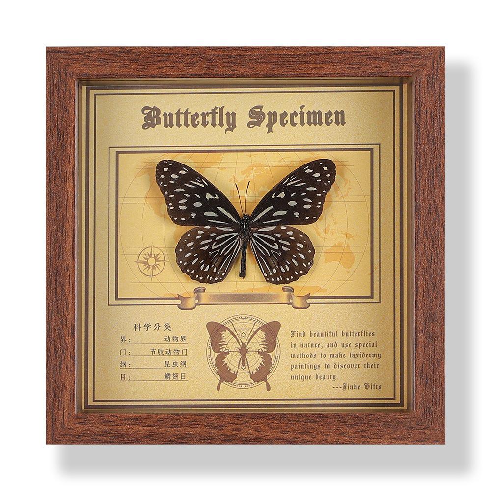 Real butterfly specimen photo frame, decorative painting, 3D ornament, handmade DIY, birthday gift, insect specimen