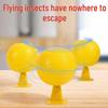 Kapalı Alan Meyve Sinek Tuzağı Yapışkan Yem - Küçük Böcek Yakalayıcı ve Öldürücü
