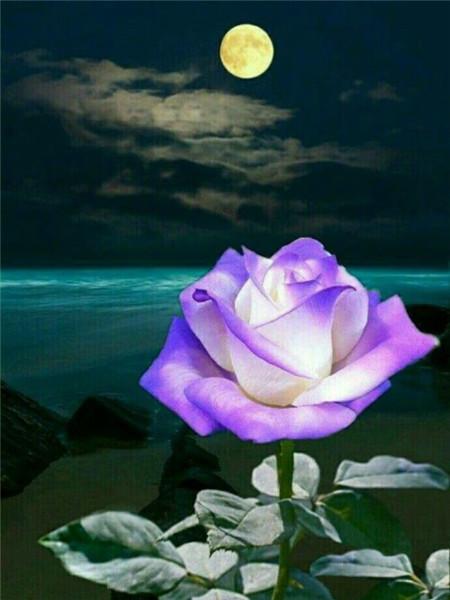 5D DIY Diament Malarstwo Nowy Kwiat Róży Dżetów Diament Haft Sprzedaż Krajobraz Nadmorski Mozaika Wystrój Domu