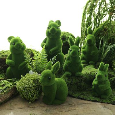 Decoración para el hogar
 – Terrarios decorativos