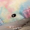 Kawaii Rainbow Colorful Plushie Shark Toys Sleeping Pillow Fish Back Cushion Doll Appease Baby Toy For Children Christmas Gifts