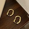 Geometric Ear Buckle Hoop Earrings for Women Girl Smooth Metal Round Circle Earring Luxury Fashion New Punk Jewelry Gifts