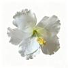Fiori Artificiali in Stoffa Fermaglio per Capelli Fermaglio per Frangia Fermacapelli Fiore di Ibisco Hawaiano Accessorio per Capelli Stile Vacanza Fermaglio Laterale