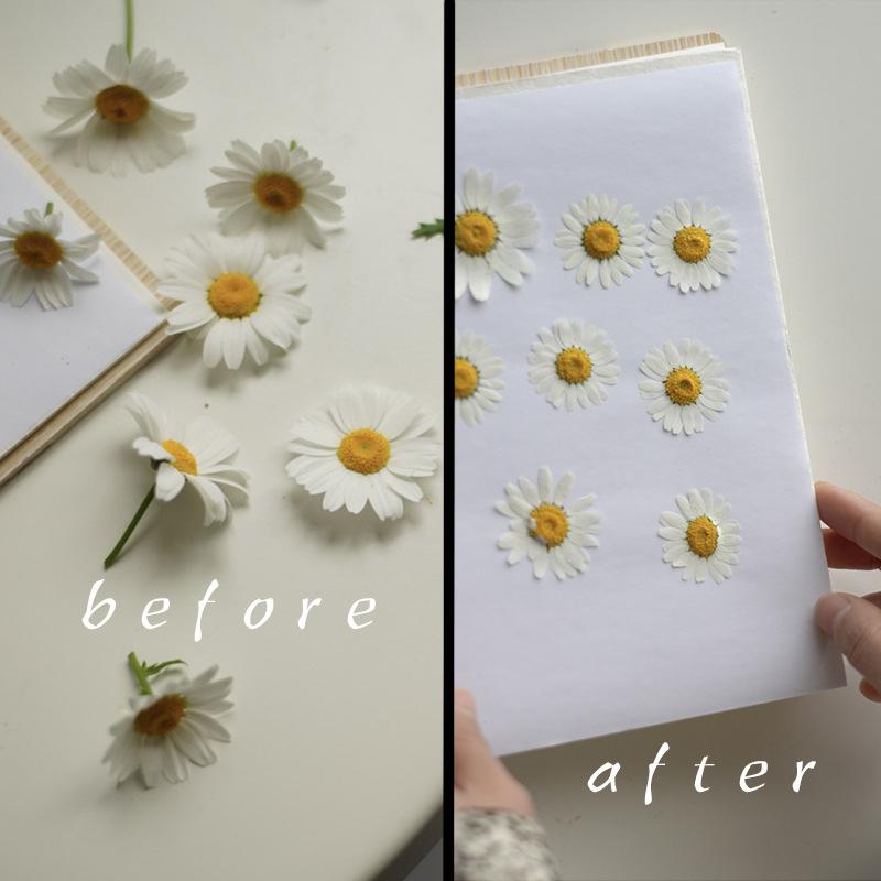 Leaf Pressing Kit Diy Press Flower Machine Tool Nature Wooden Dried Book Drying Preservation Diy Flower Preservation Crafts