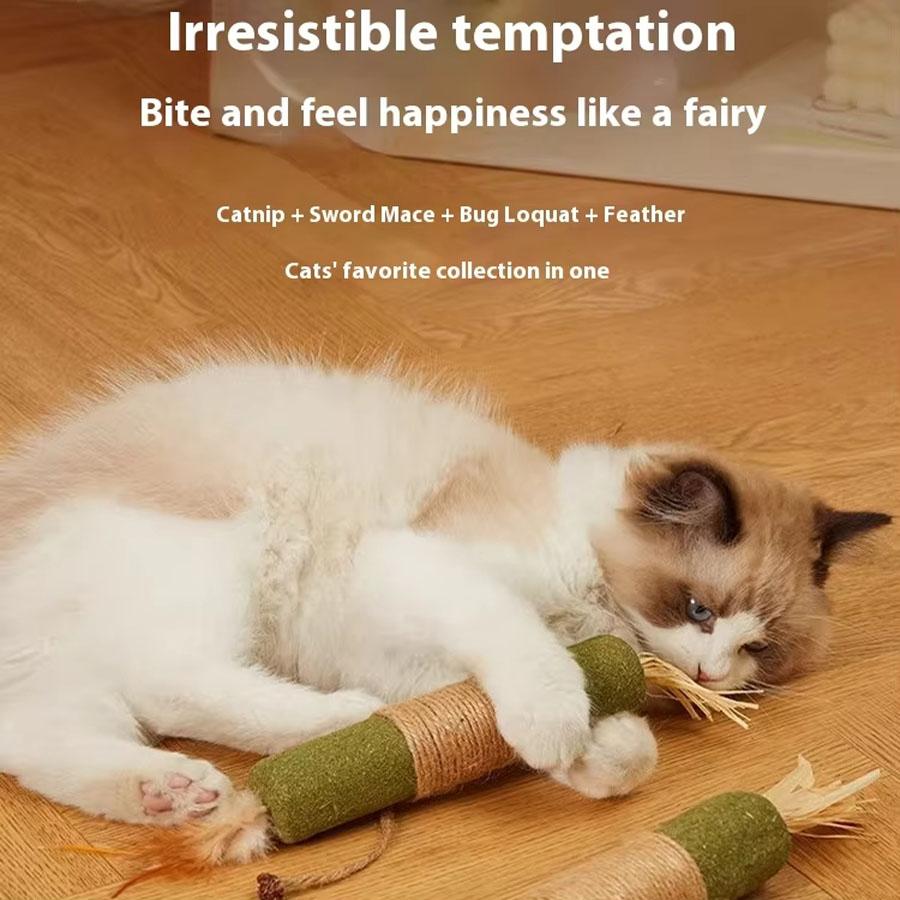 Teeth grinding stick cat insect gall fruit toy catnip adult cat kitten teeth grinding breath clearing teasing cat stick cat toy