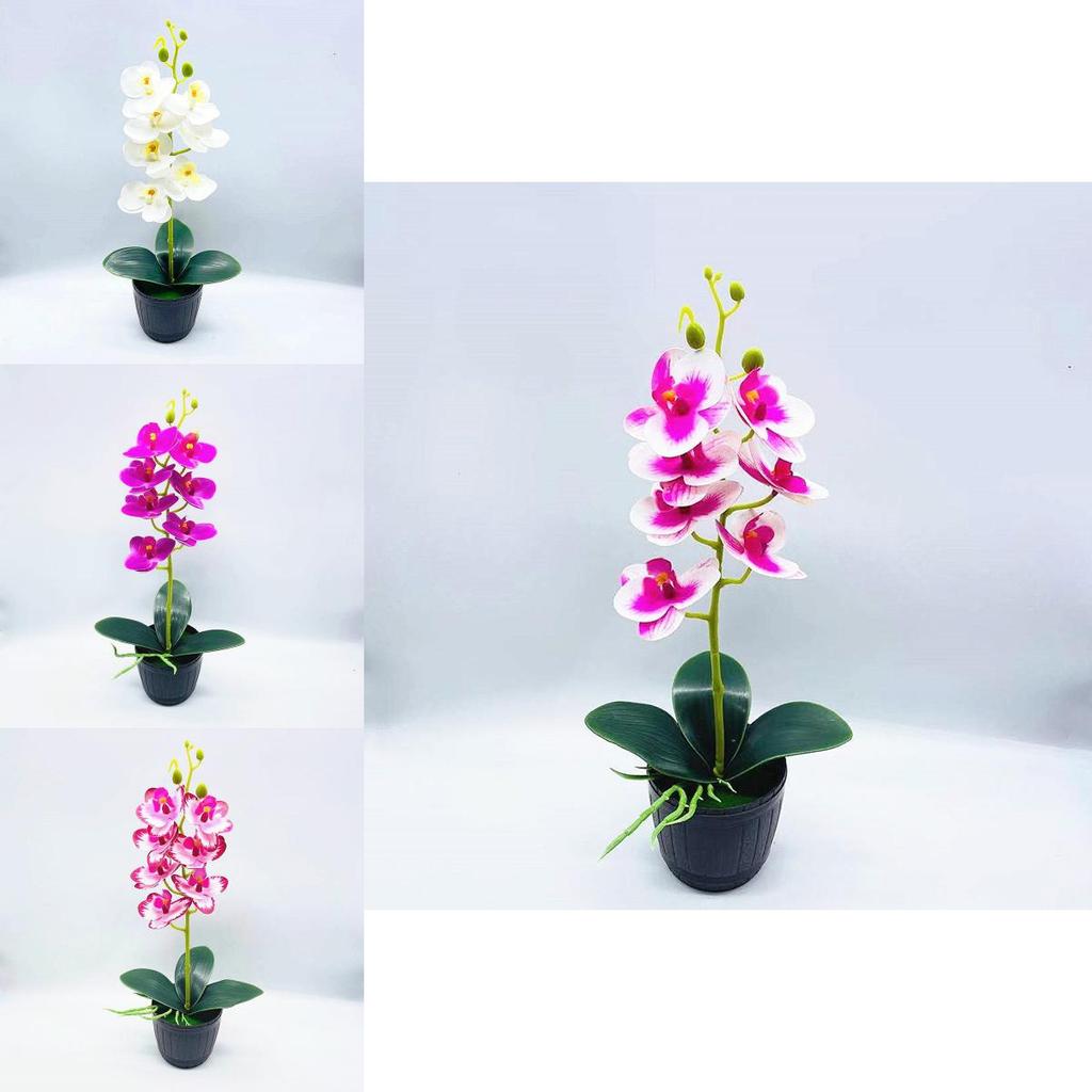 Phalaenopsis Aphrodite Rchb Artificial Plant With Silk Flowers For Home Decor And Gift Giving