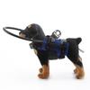 Dispositivo di Assistenza alla Sicurezza per Animali da Compagnia Pettorina Combinata con Paracolpi e Guinzaglio Regolabile per Cani Piccoli e Medi Uso Interno ed Esterno