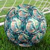1pc Winter Songbird Size 5 Soccer Ball Professional Lightweight Durable Match Training Football Indoor &Outdoor Sports BallTraining Ball y82